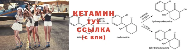 прущие крисы Надым
