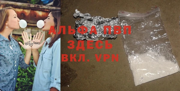 прущие крисы Надым