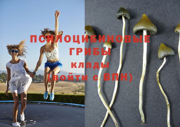 прущие крисы Надым