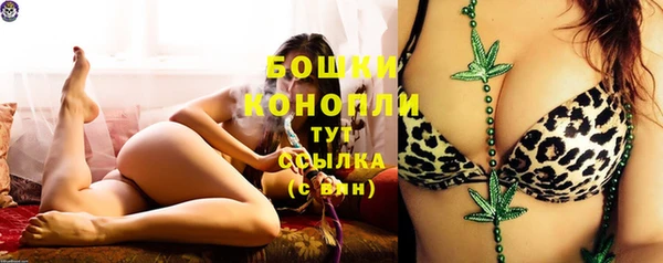прущие крисы Надым
