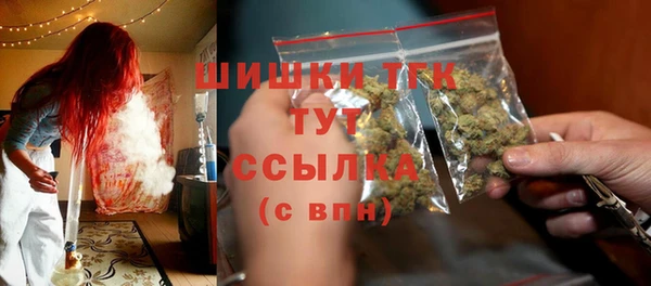 прущие крисы Надым