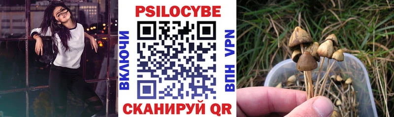 Галлюциногенные грибы MAGIC MUSHROOMS Уржум